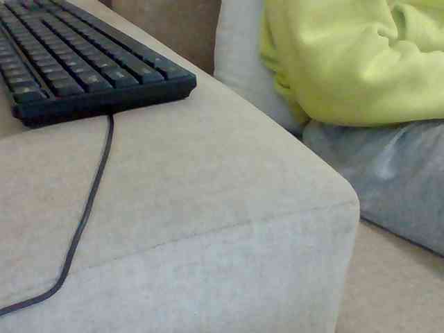 Dollie webcam