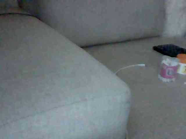 Dollie webcam