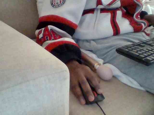 Dollie webcam
