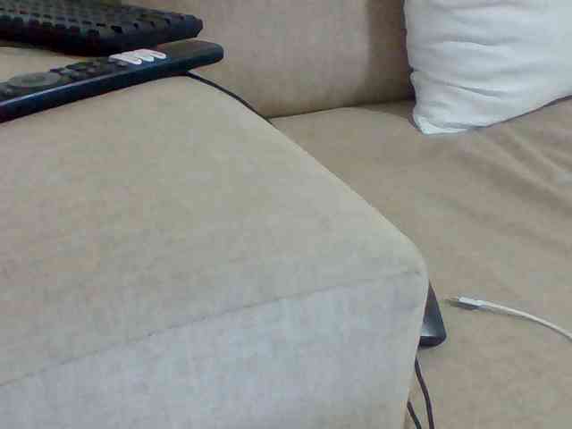 Dollie webcam