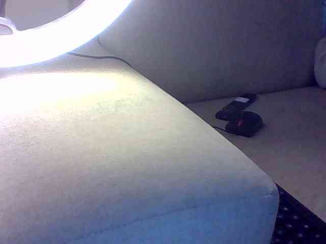 Dollie webcam
