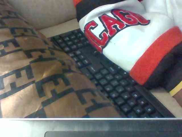 Dollie webcam