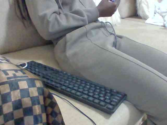 Dollie webcam