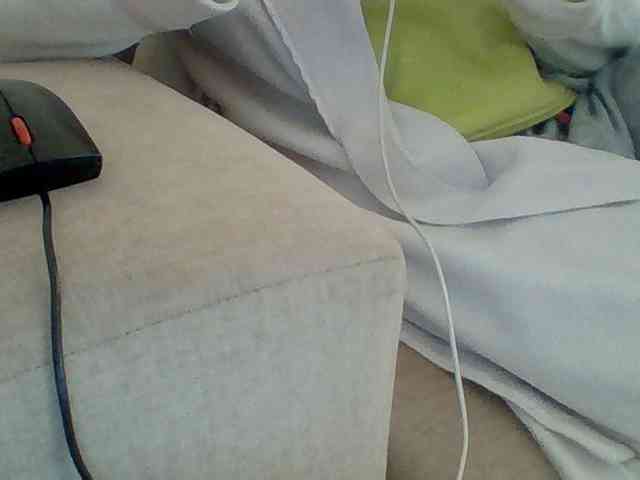 Dollie webcam