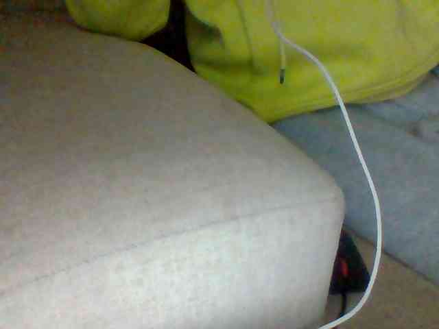 Dollie webcam