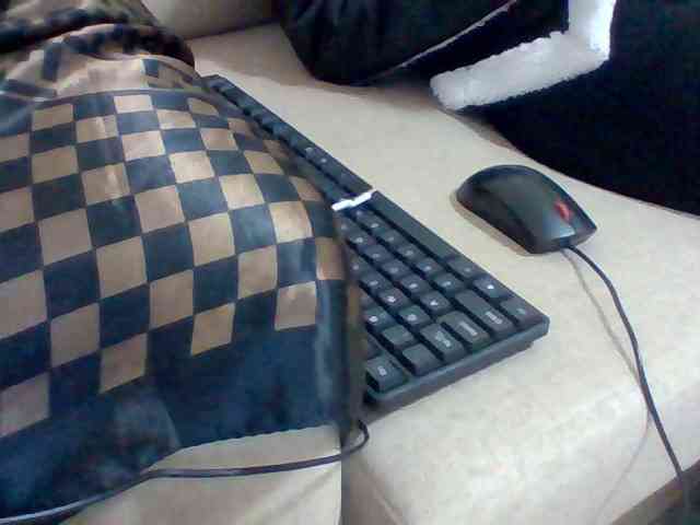 Dollie webcam