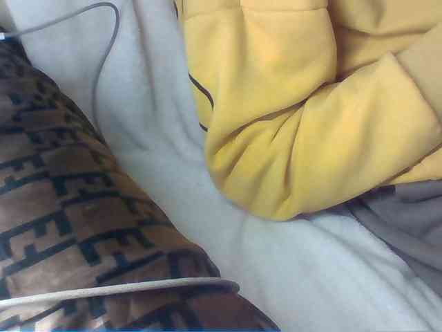 Dollie webcam