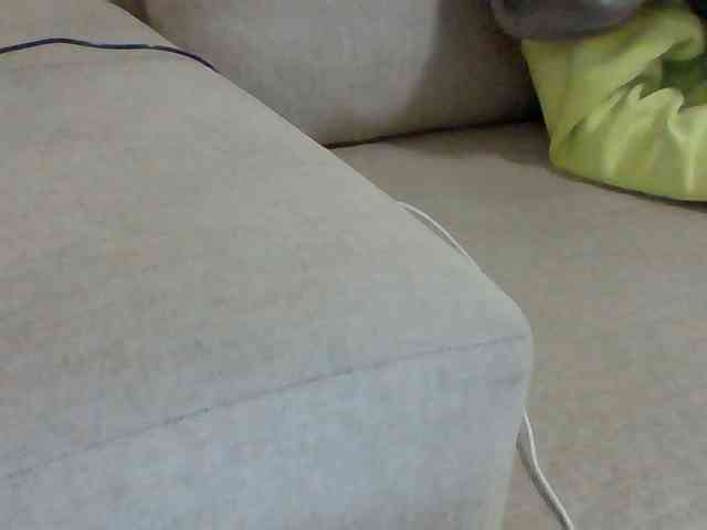 Dollie webcam