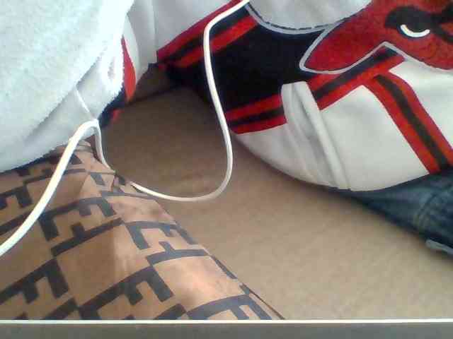 Dollie webcam