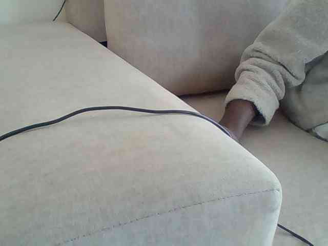 Dollie webcam