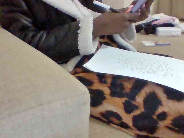Dollie webcam