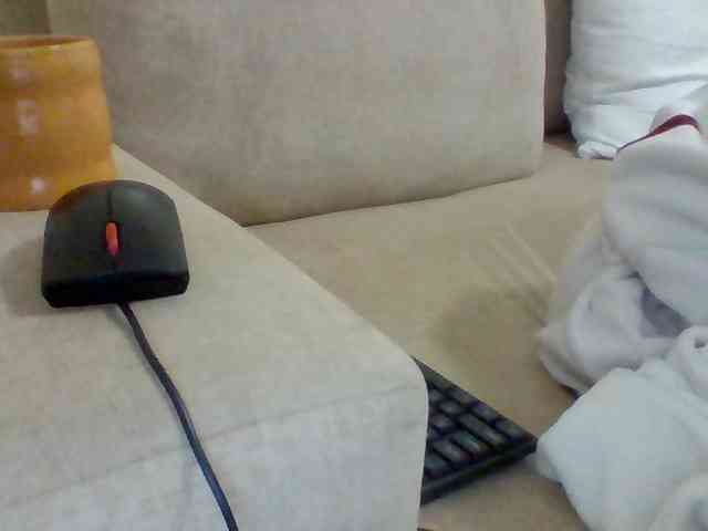 Dollie webcam