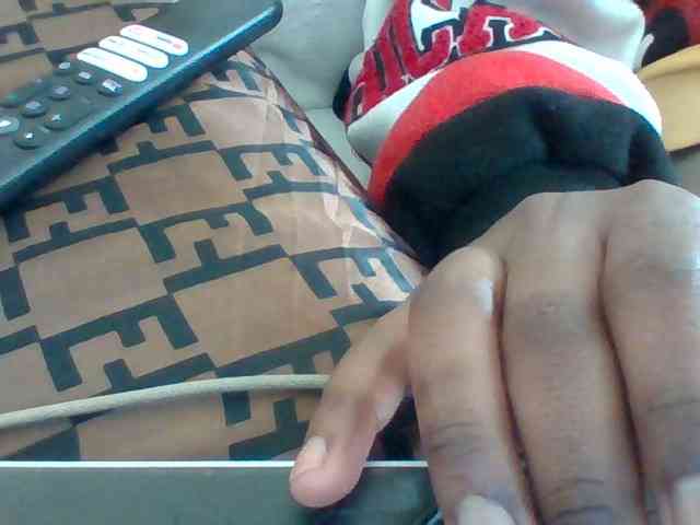 Dollie webcam