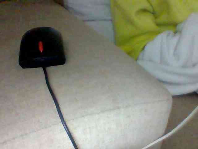Dollie webcam