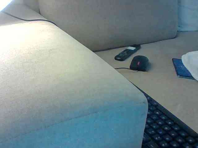 Dollie webcam