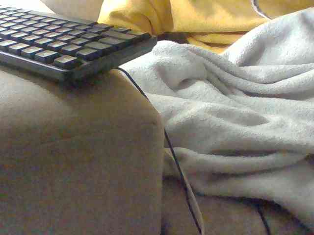 Dollie webcam