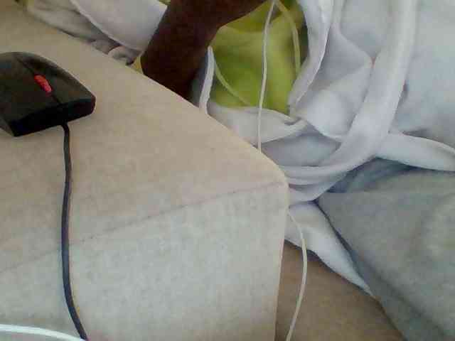 Dollie webcam