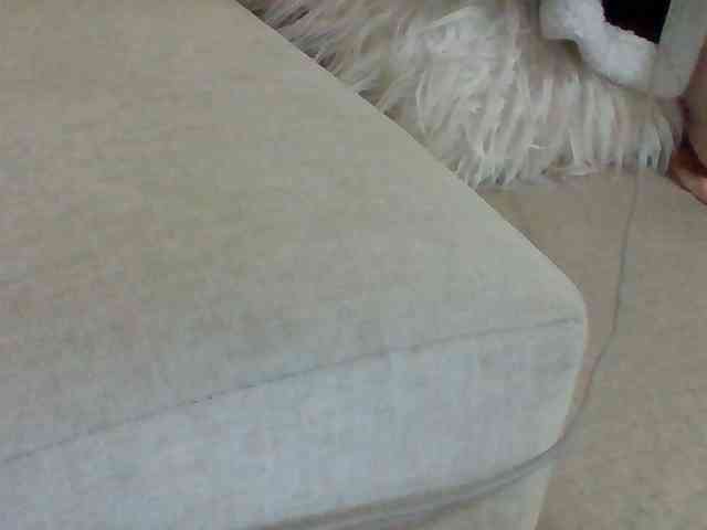 Dollie webcam