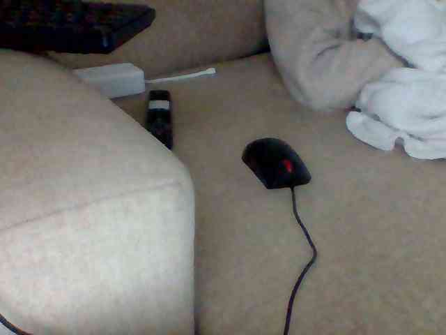 Dollie webcam