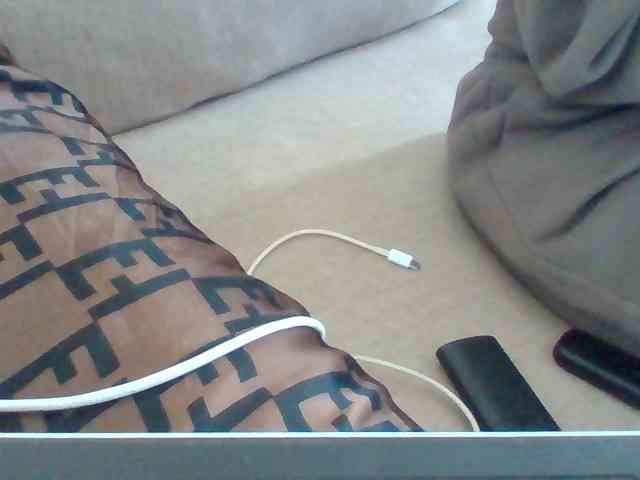 Dollie webcam