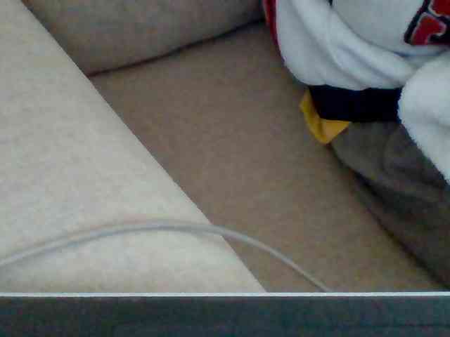 Dollie webcam