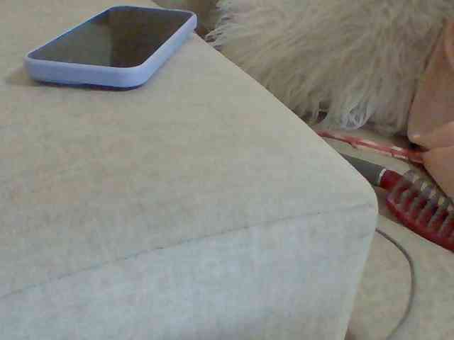 Dollie webcam