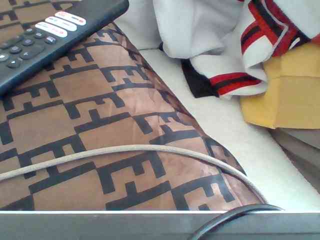 Dollie webcam