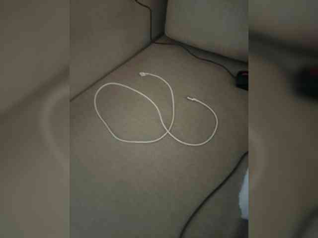 Dollie webcam