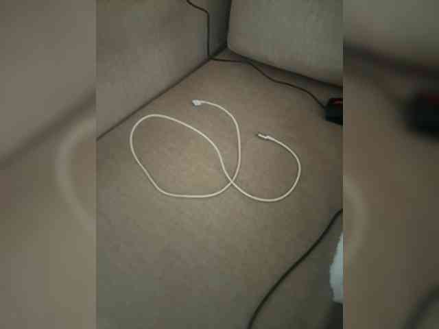 Dollie webcam