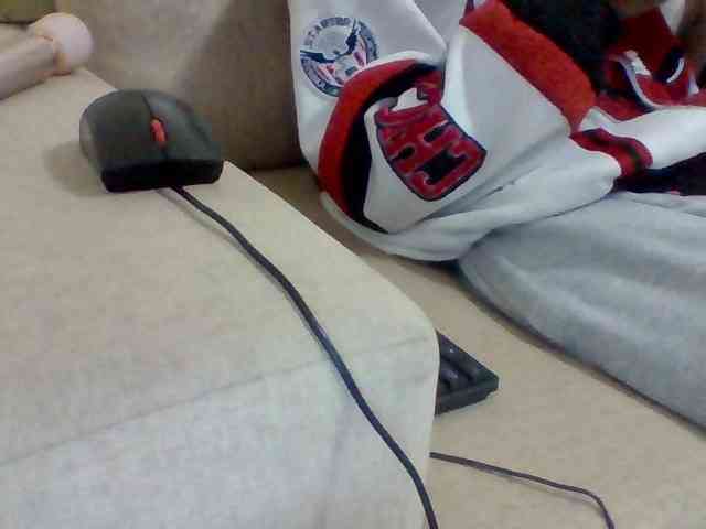 Dollie webcam