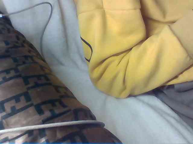 Dollie webcam