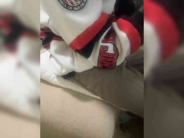 Dollie webcam