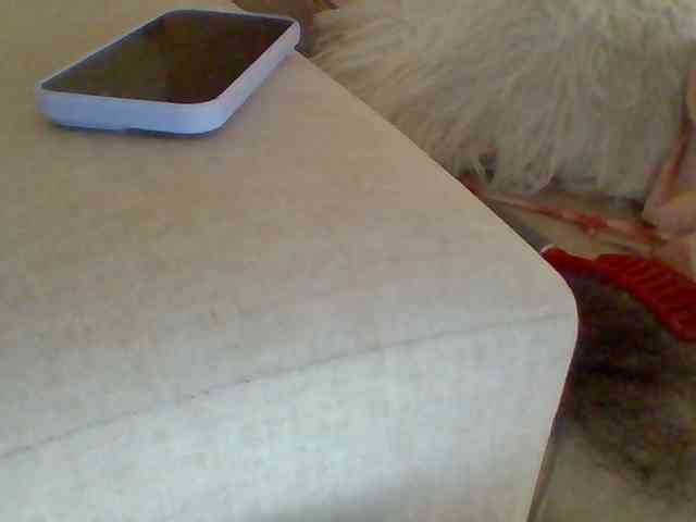 Dollie