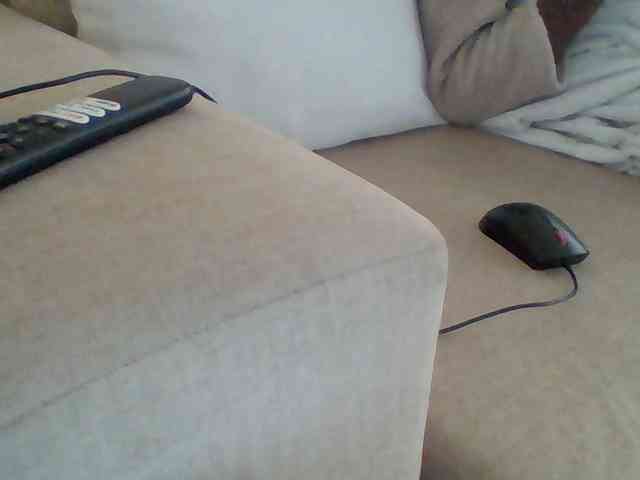 Dollie webcam