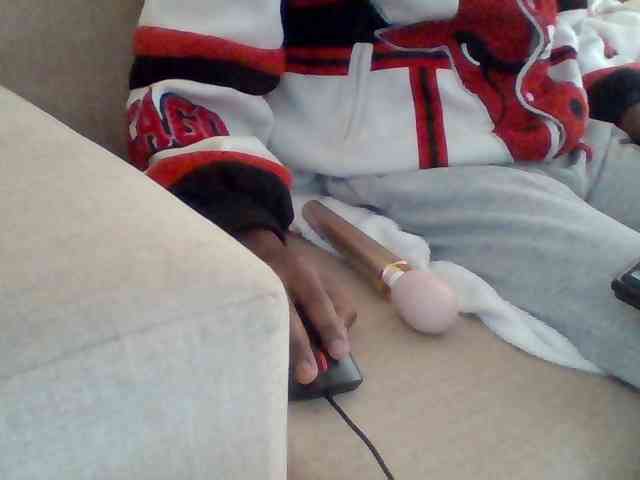 Dollie webcam