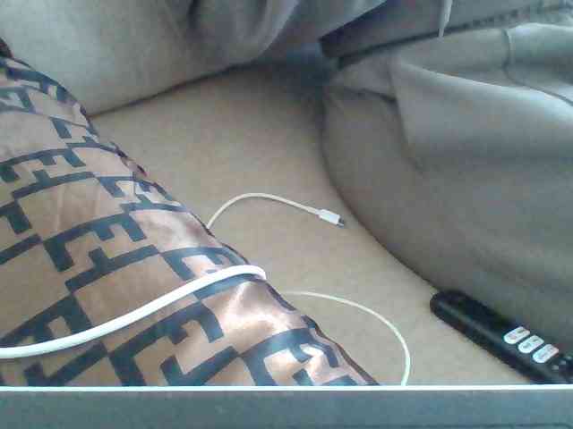 Dollie webcam