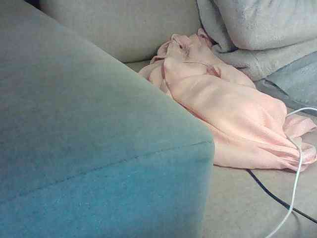 Dollie webcam