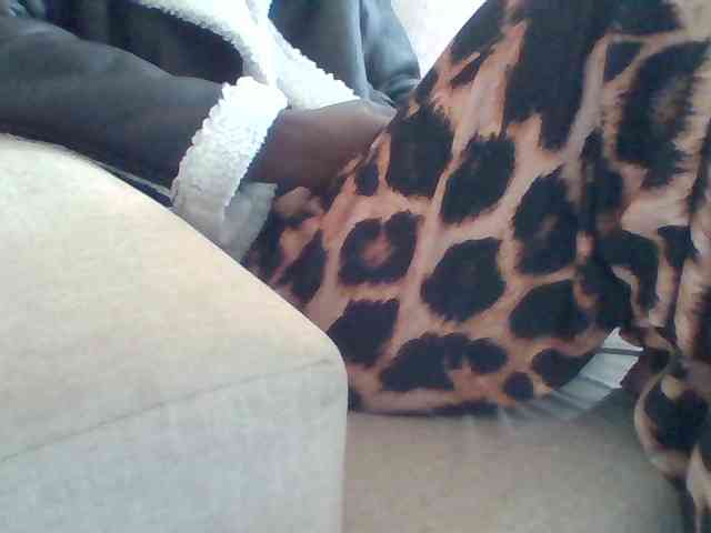 Dollie