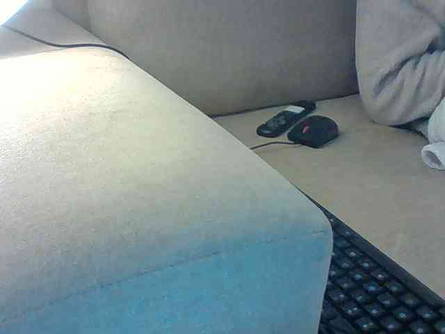 Dollie webcam