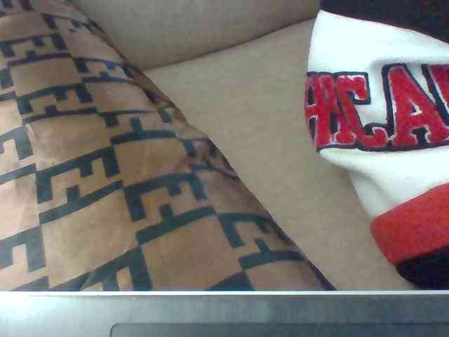 Dollie webcam