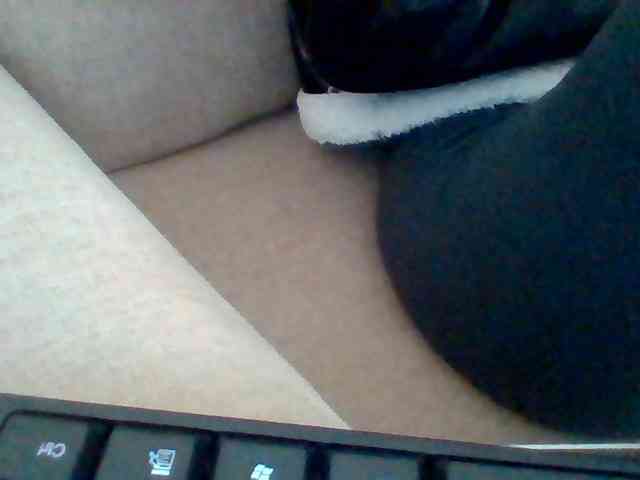 Dollie webcam