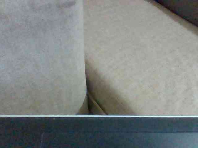 Dollie webcam