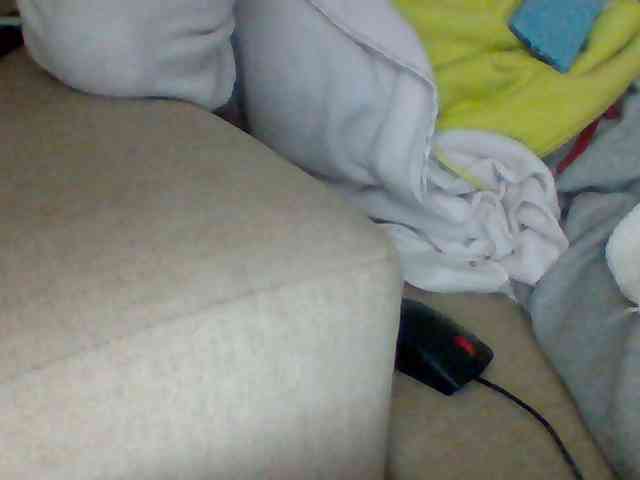 Dollie webcam