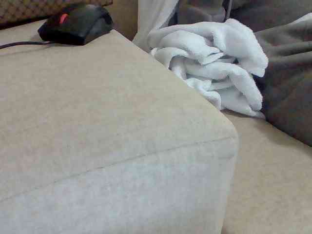 Dollie webcam