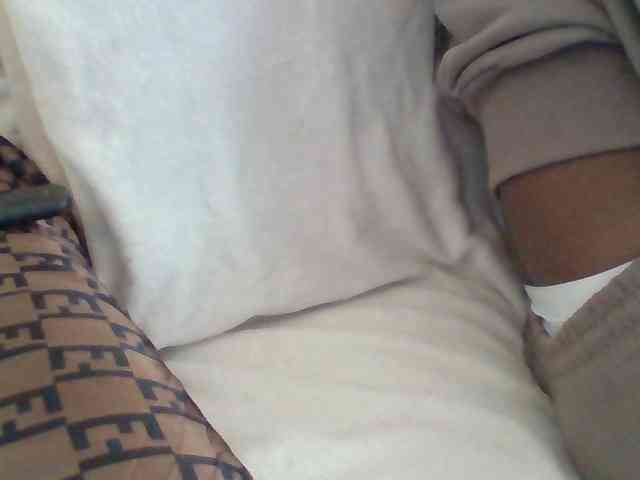 Dollie webcam