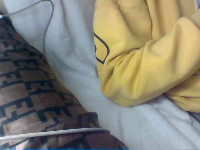 Dollie webcam