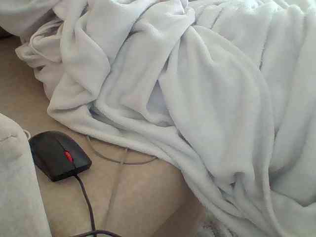 Dollie webcam