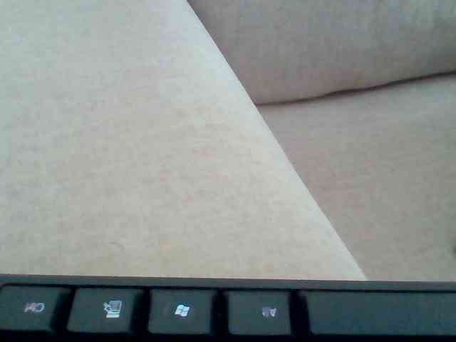 Dollie webcam