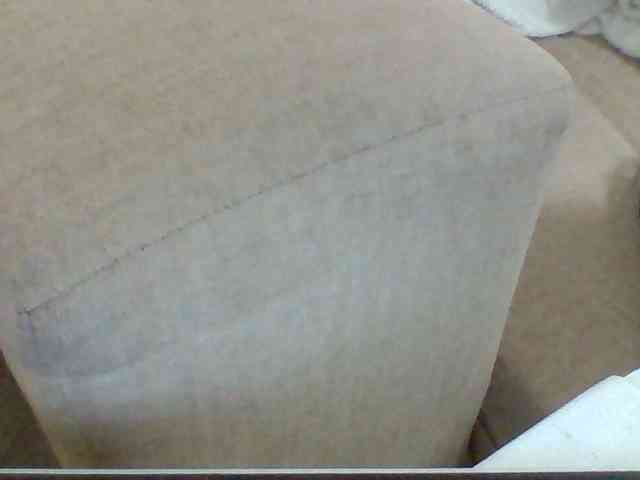 Dollie webcam