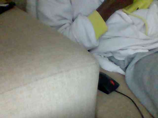 Dollie webcam